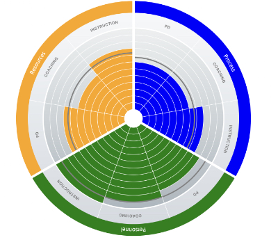 APLM Online | Center for Research on Learning
